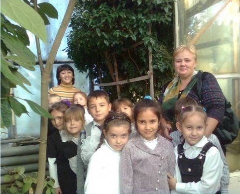 В первый раз первый класс в оранжерее ДЮЦЭТ