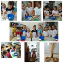 На занятии по ознакомлению с окружающими миром