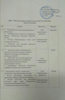 План работы Попечительского совета на 2020-2021 гг.