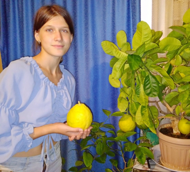 Павлодарская школьница вырастила 27 видов экзотических растений