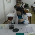 Дата добавления: 2012-04-13 00:49:03