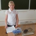 Дата добавления: 2012-04-19 22:39:57