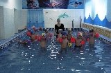 Дата добавления: 0000-00-00 00:00:00