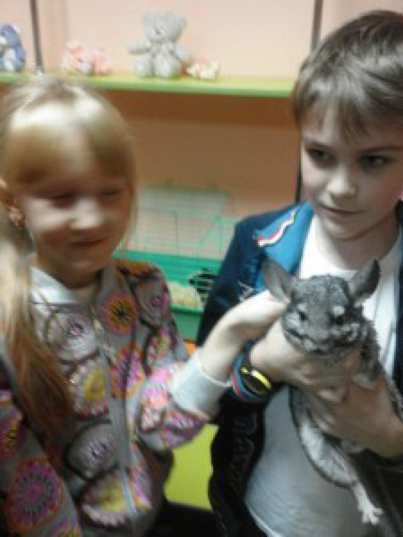 image-04-11-16-06-57-1