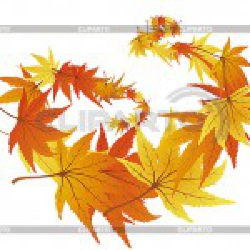 3087344-autumn-leaves