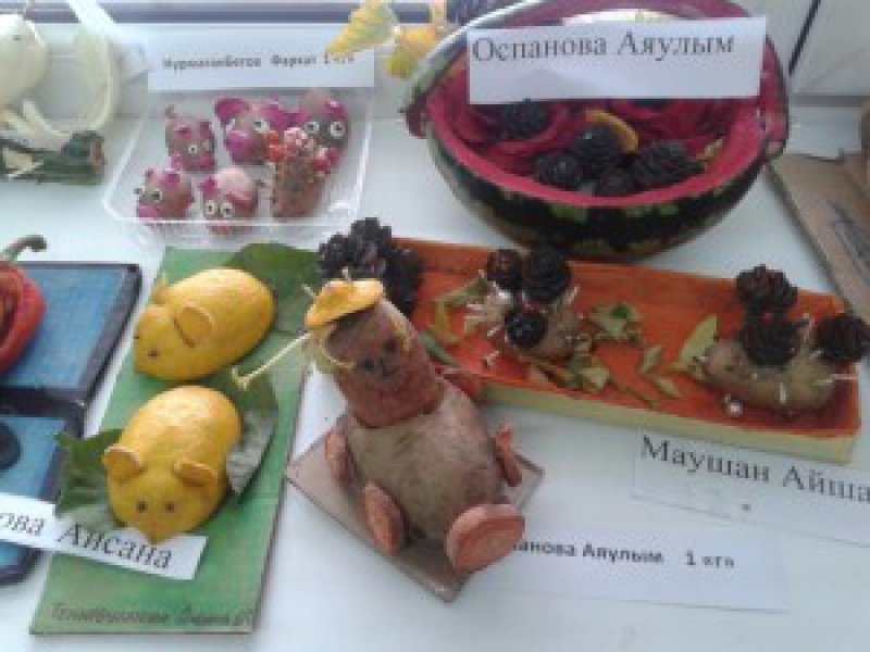 %d0%b4%d0%b0%d1%80%d1%8b-%d0%be%d1%81%d0%b5%d0%bd%d0%b8