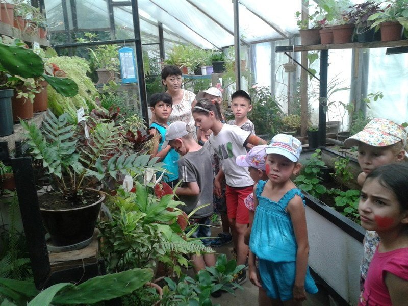 в оранжерее