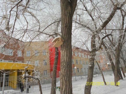 Конкурс «Самая щедрая кормушка»