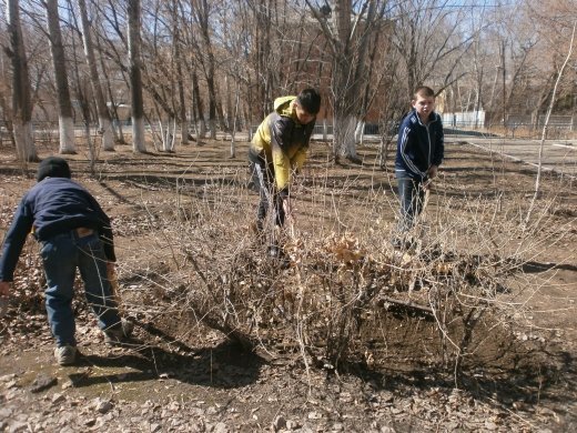 Мектептің  ауласын  тазалау