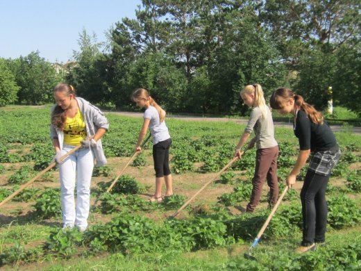 «Жасыл толқын» экологиялық тәжірибесінің аяқталуы туралы     О завершении экологического  практикума «Жасыл толқын»