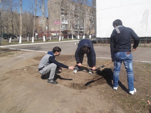 За зеленую школу!