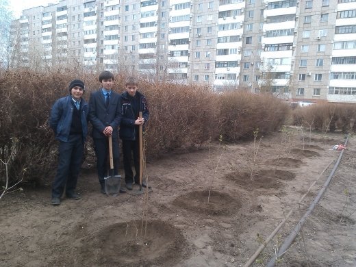 Акция «Сиреневая аллея»