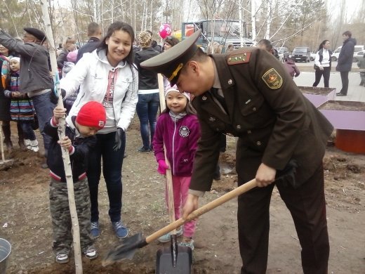 Посади дерево своей семьи!