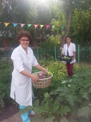 Собираем урожай!