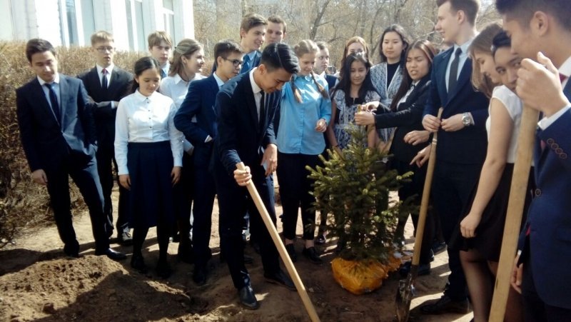 Акция «Я посадил дерево»