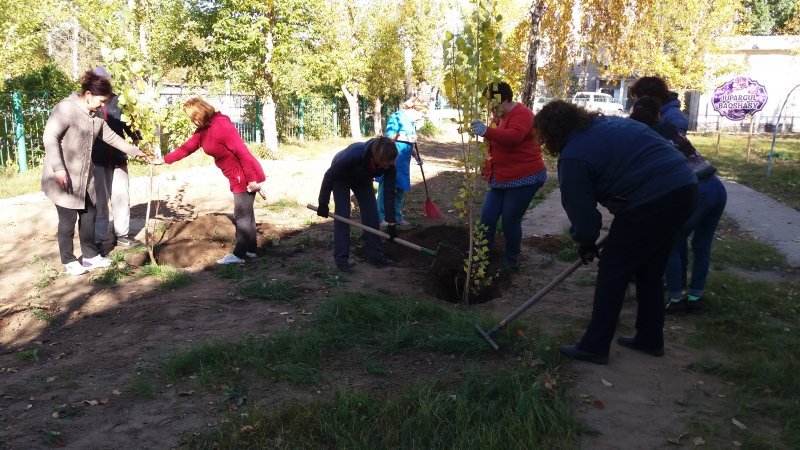 жалпықалалық  сенбілік