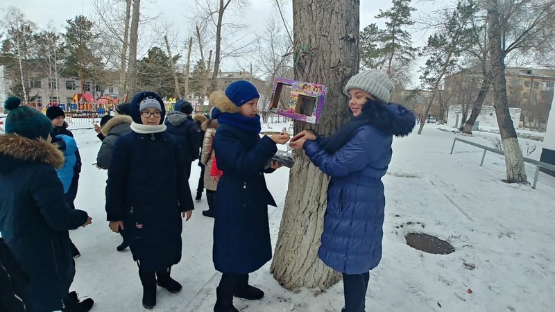 Добро пожаловать, птички!