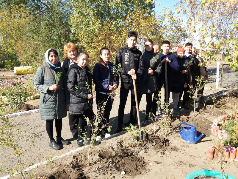 Аллея выпускников