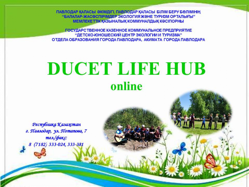 Онлайн-проект «DUCET  LIFE HUB»