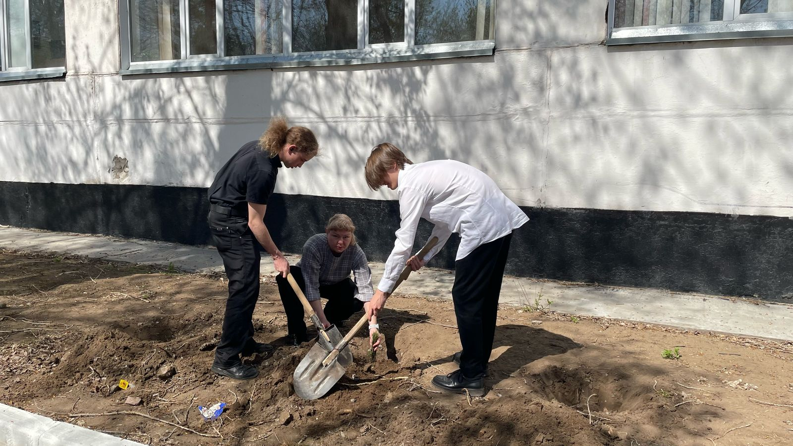 11-сынып түлектері жас қарағай көшеттерін отырғызуға белсене атсалысып, мектеп аумағын көгалдандыруда.