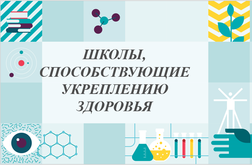 Школы, способствующие укреплению здоровья