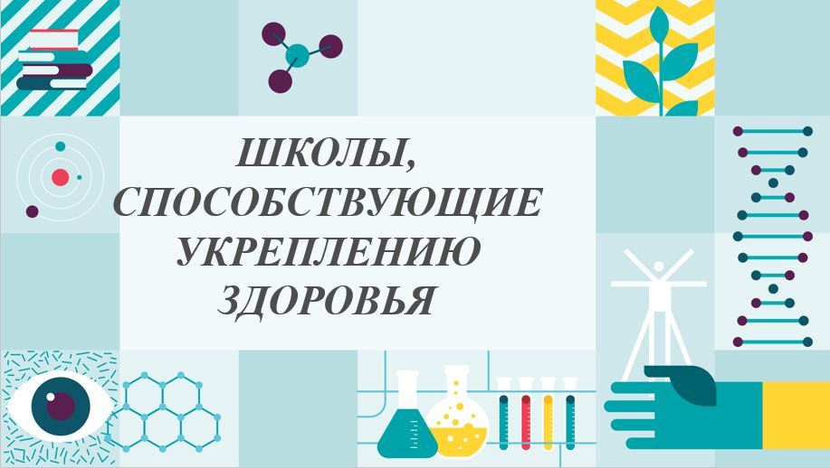 ДЕНСАУЛЫҚТЫ НЫҒАЙТУҒА КӨМЕКТЕСЕТІН МЕКТЕПТЕР (ДНМ)