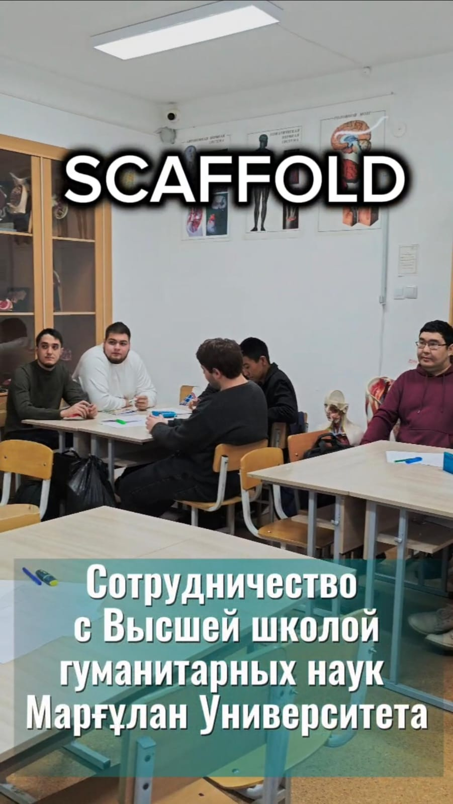 Обучающие тренинги 