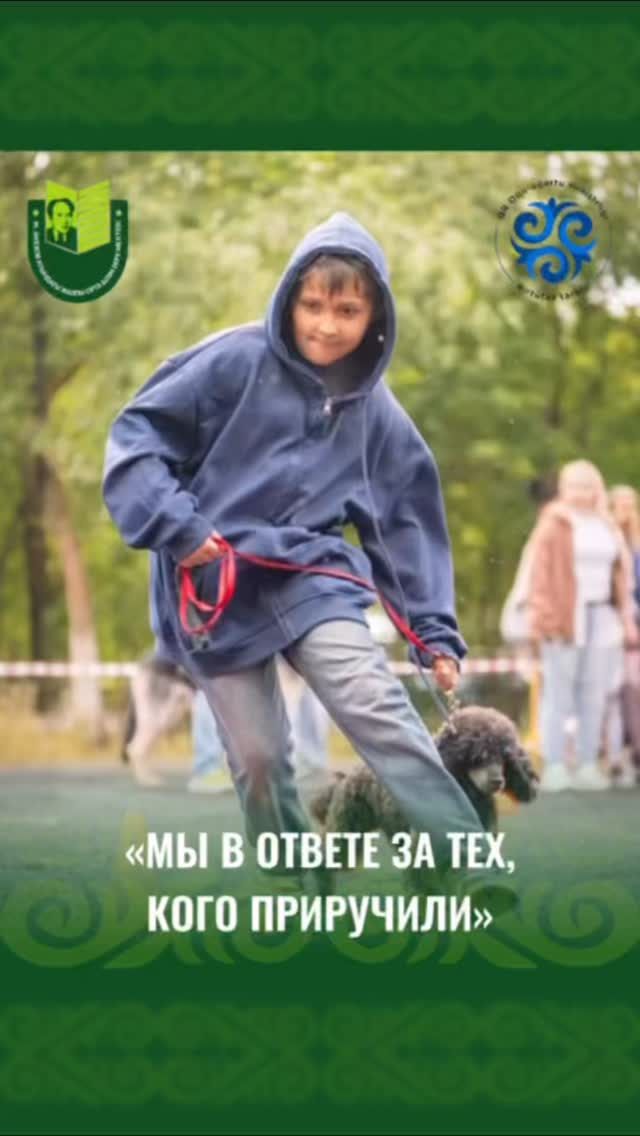 Колмыков Михайл Романович, учащийся 5 В класса школы имени Мухтара Ауэзова города Павлодара участвует в акции «Мы в ответе за тех, кого приручили» в номинации «Животные - наши друзья».