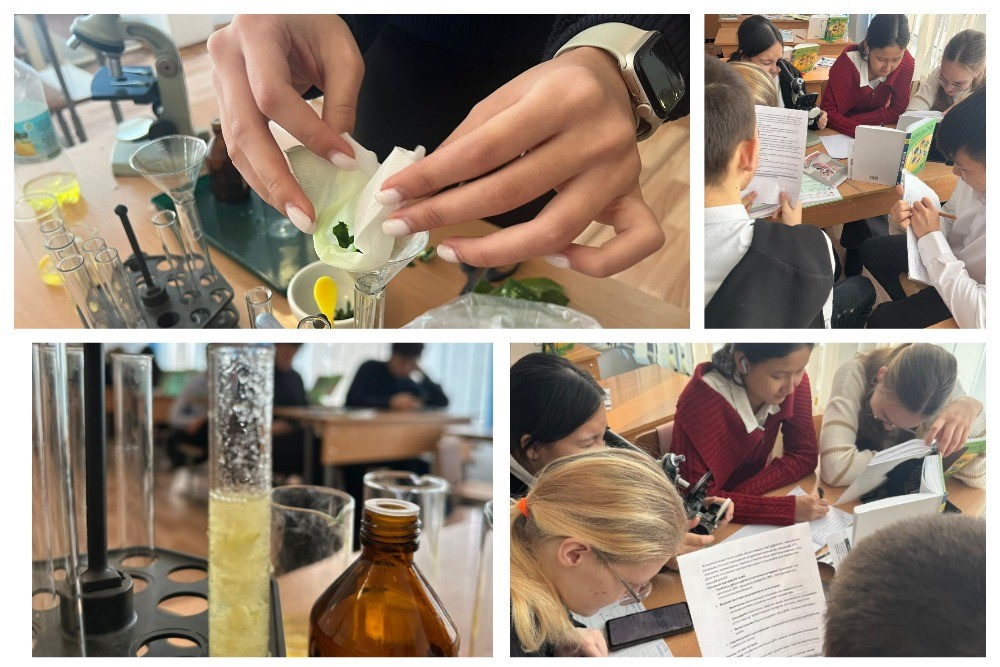 Урок - исследования по биологии «Причины мутации»