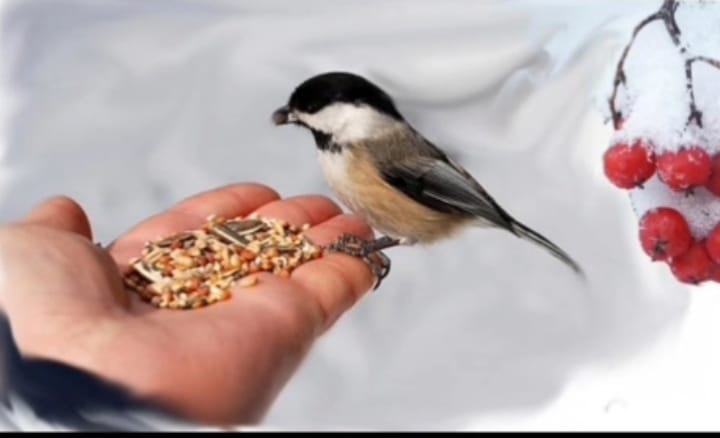 Экологическая акция 