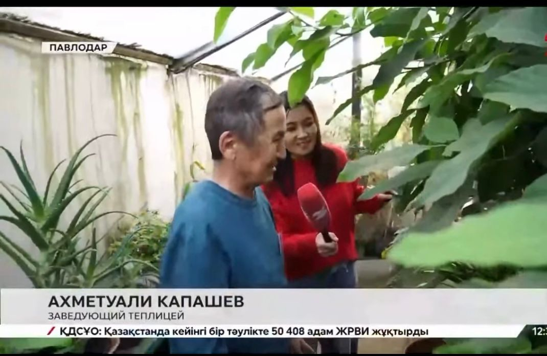 «Таза Қазақстан» бағдарламасы