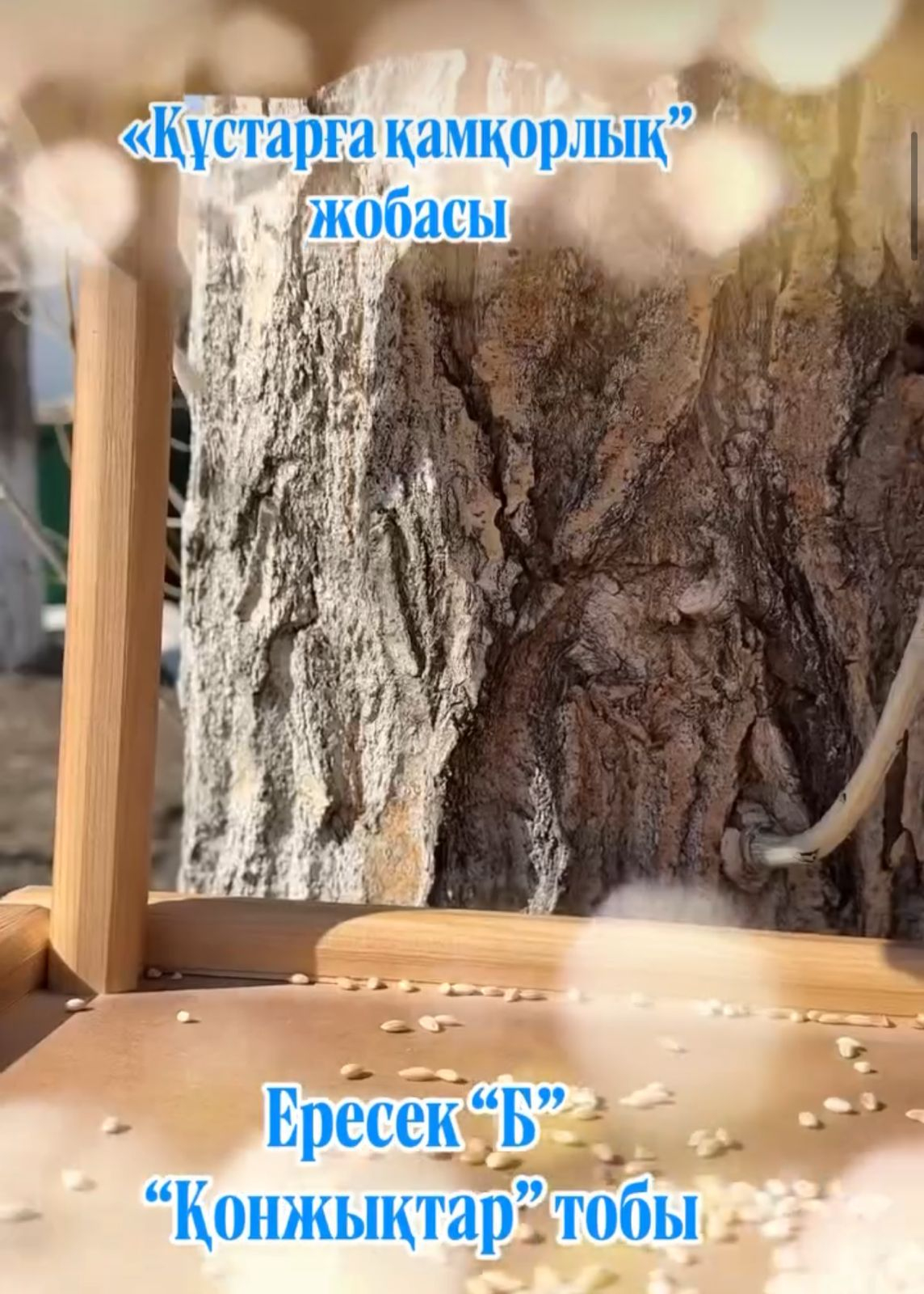 Құстарға қамқорлық – Ересек “Б” тобы