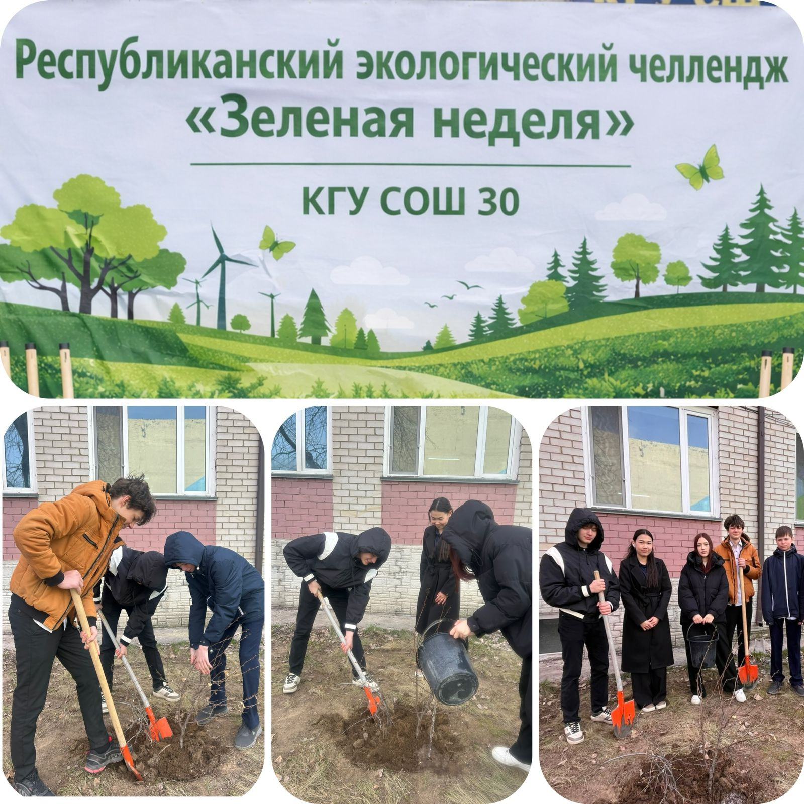 «Зелёная неделя»