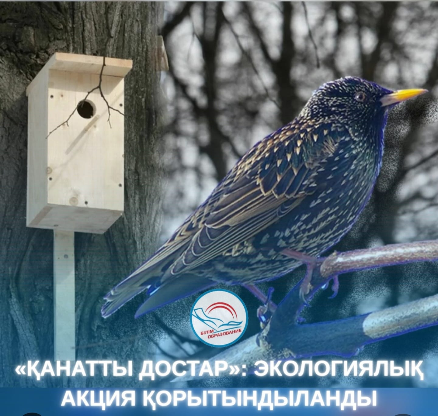 Құстардың халықаралық күніне арналған «Қанатты достар» облыстық акциясының қорытындысы шығарылды!