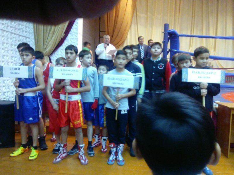 Чемпионат по боксу среди юношей