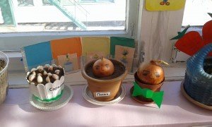 20160217_134616 - копия - копия