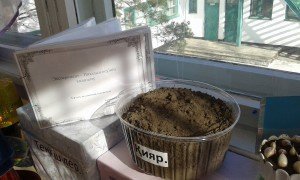 20160217_134610 - копия - копия