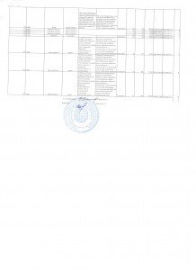 Scan.jpg годовой 10