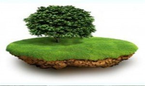 Безымянный1