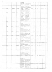 Scan.jpg годовой 2