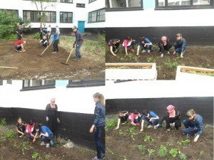 Юннатские дни