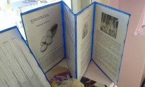 20160217_134626 - копия - копия