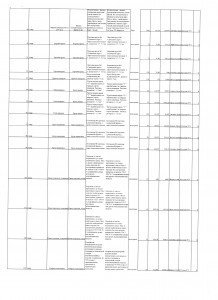 Scan.jpg годовой 6