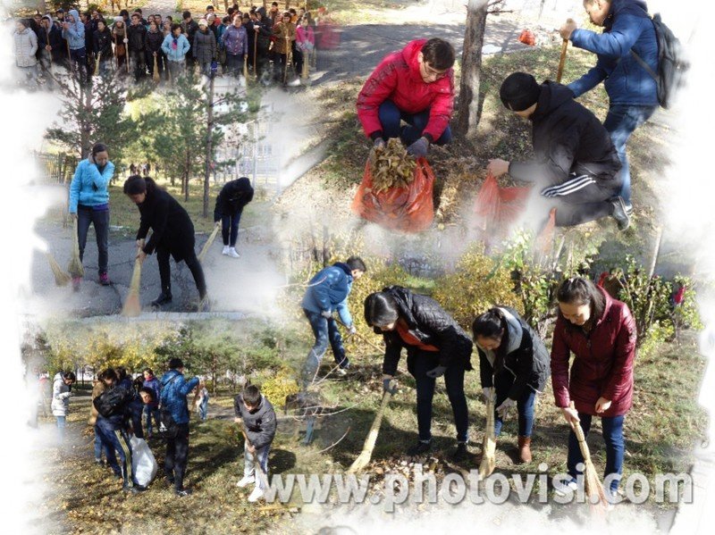 photovisi-download (2)